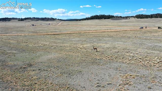 445 Arapaho Road Hartsel, CO 80449 - Photo 8 of 8