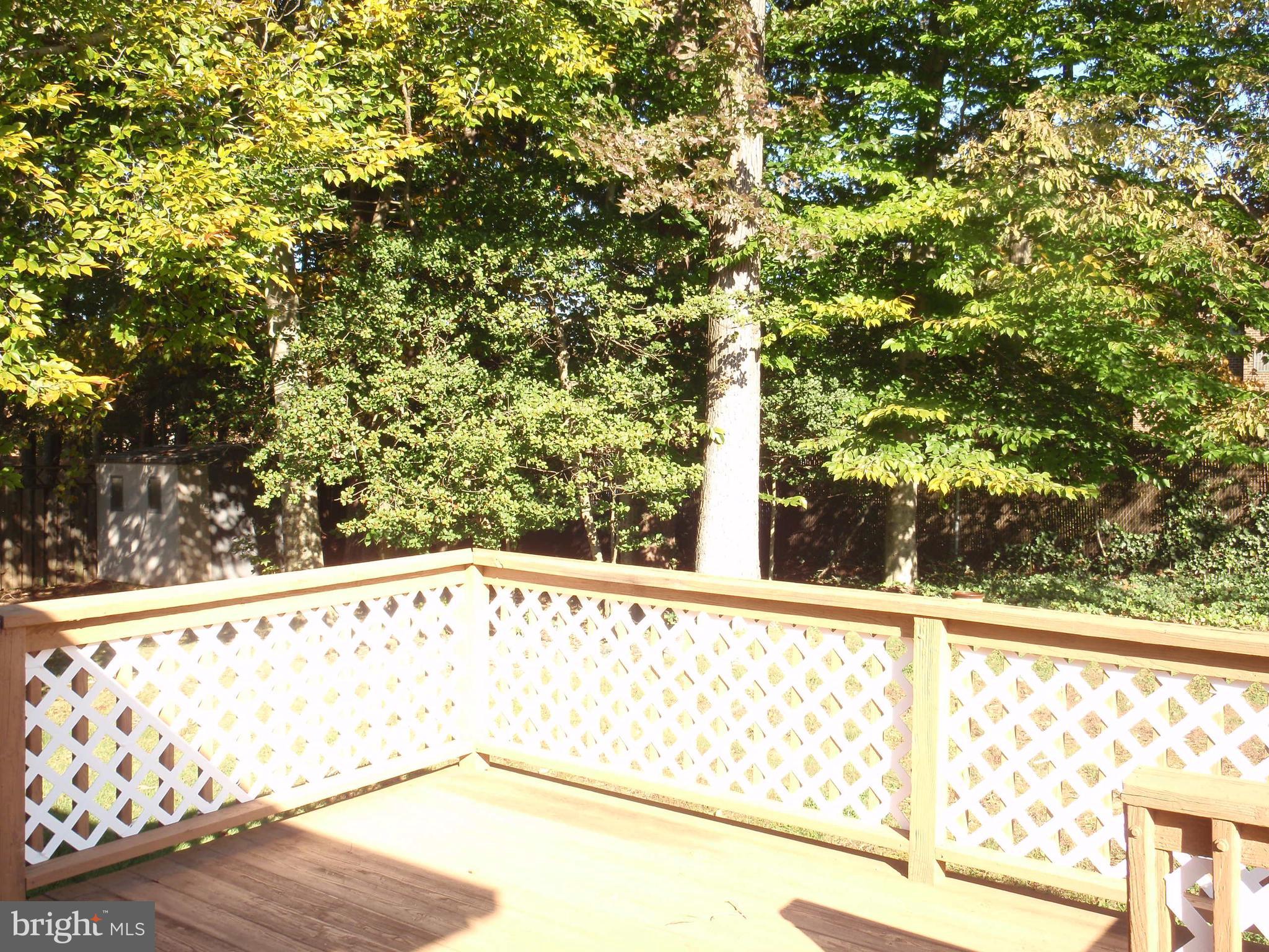 13009 Claxton Drive Laurel, MD 20708 - Photo 5 of 31 Deck for barbecue!