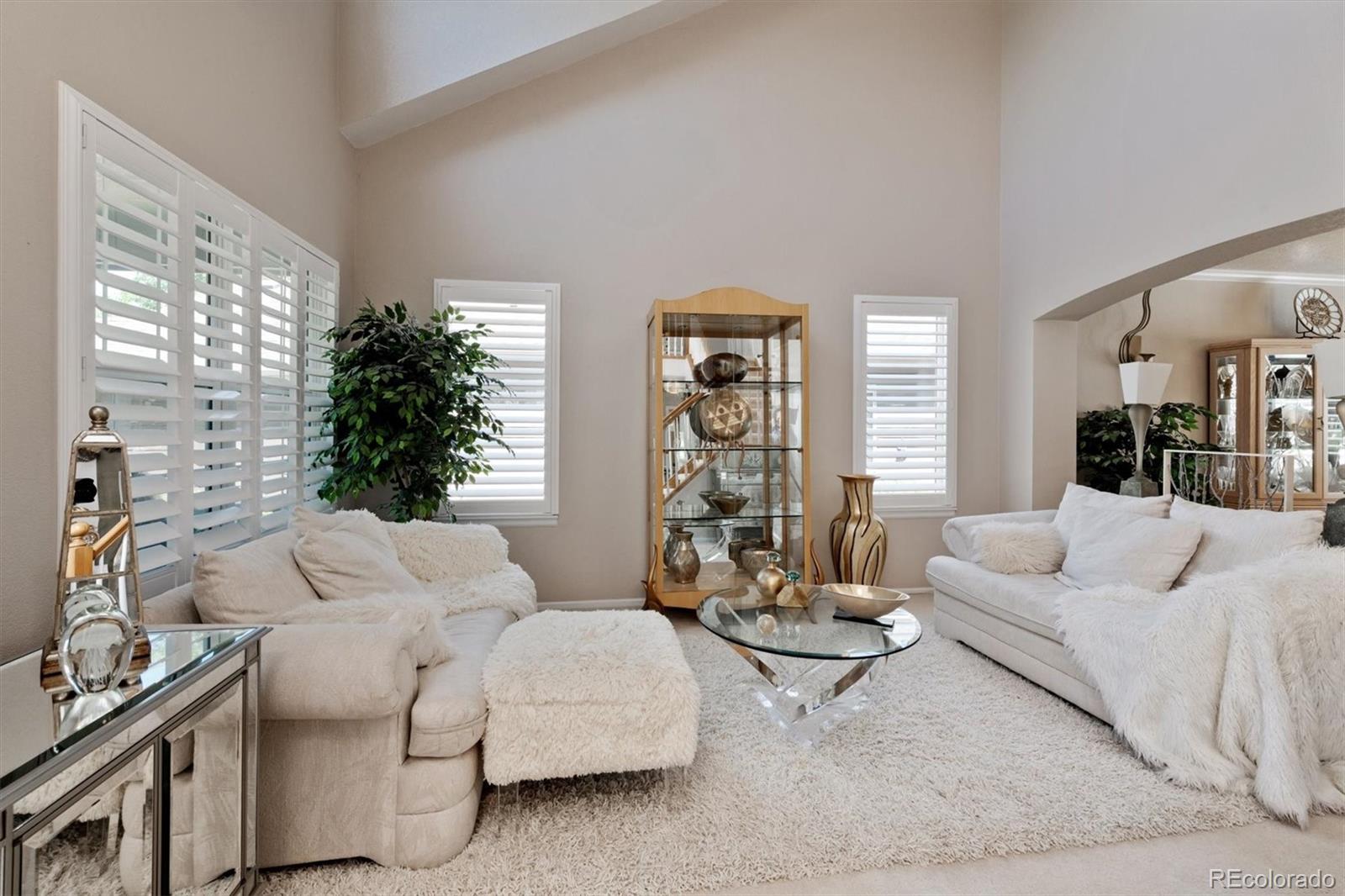 9812 South Spring Hill Place Highlands Ranch, CO 80129 - Photo 4 of 27 a living room with furniture and a large window