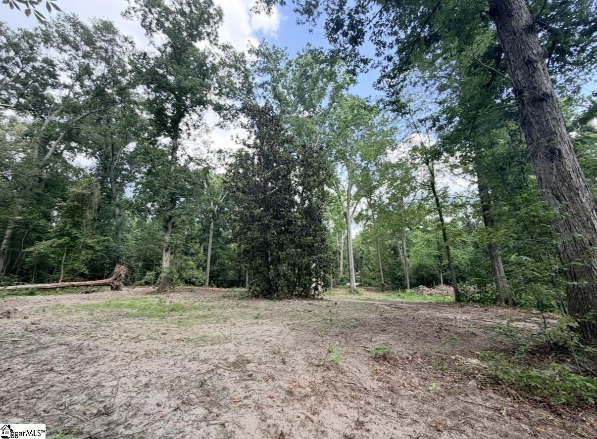 0 Lee Street Johnston, SC 29832 - Photo 9 of 21