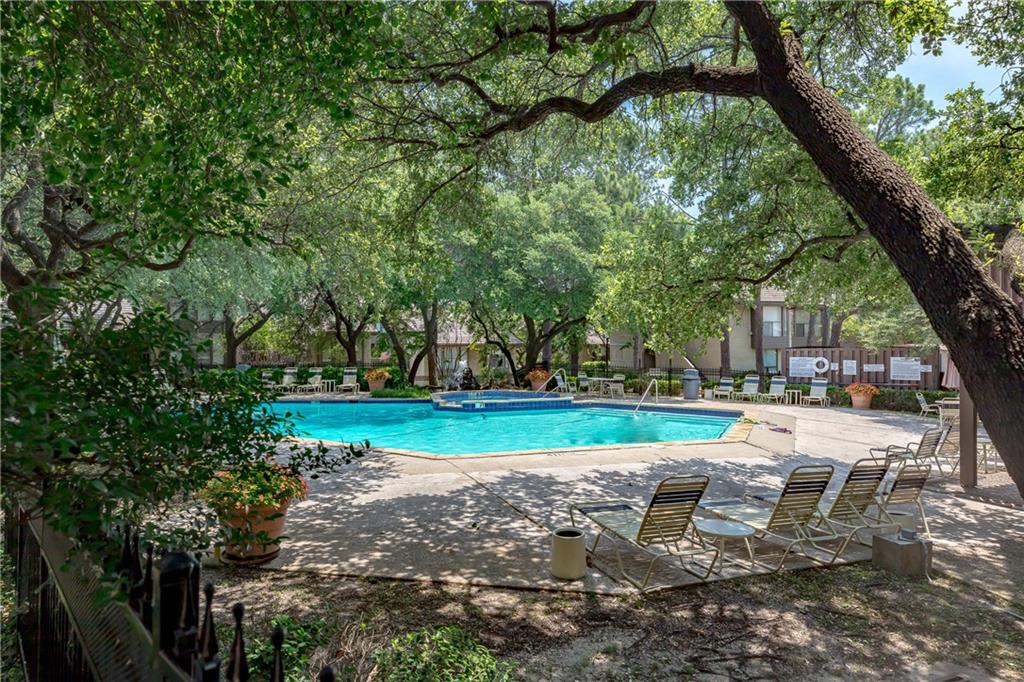 a view of a park with bench and trees