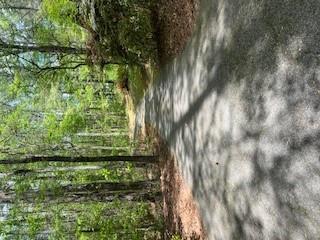 1301 Bob Hunton Road Douglasville, GA 30134 - Photo 12 of 14 a view of a yard