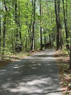 1301 Bob Hunton Road Douglasville, GA 30134 - Photo 14 of 14 a view of building with trees