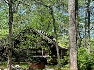 1301 Bob Hunton Road Douglasville, GA 30134 - Photo 6 of 14 a backyard of a house with lots of green space