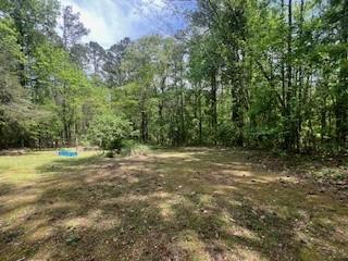 1301 Bob Hunton Road Douglasville, GA 30134 - Photo 10 of 14 a view of a yard with a tree