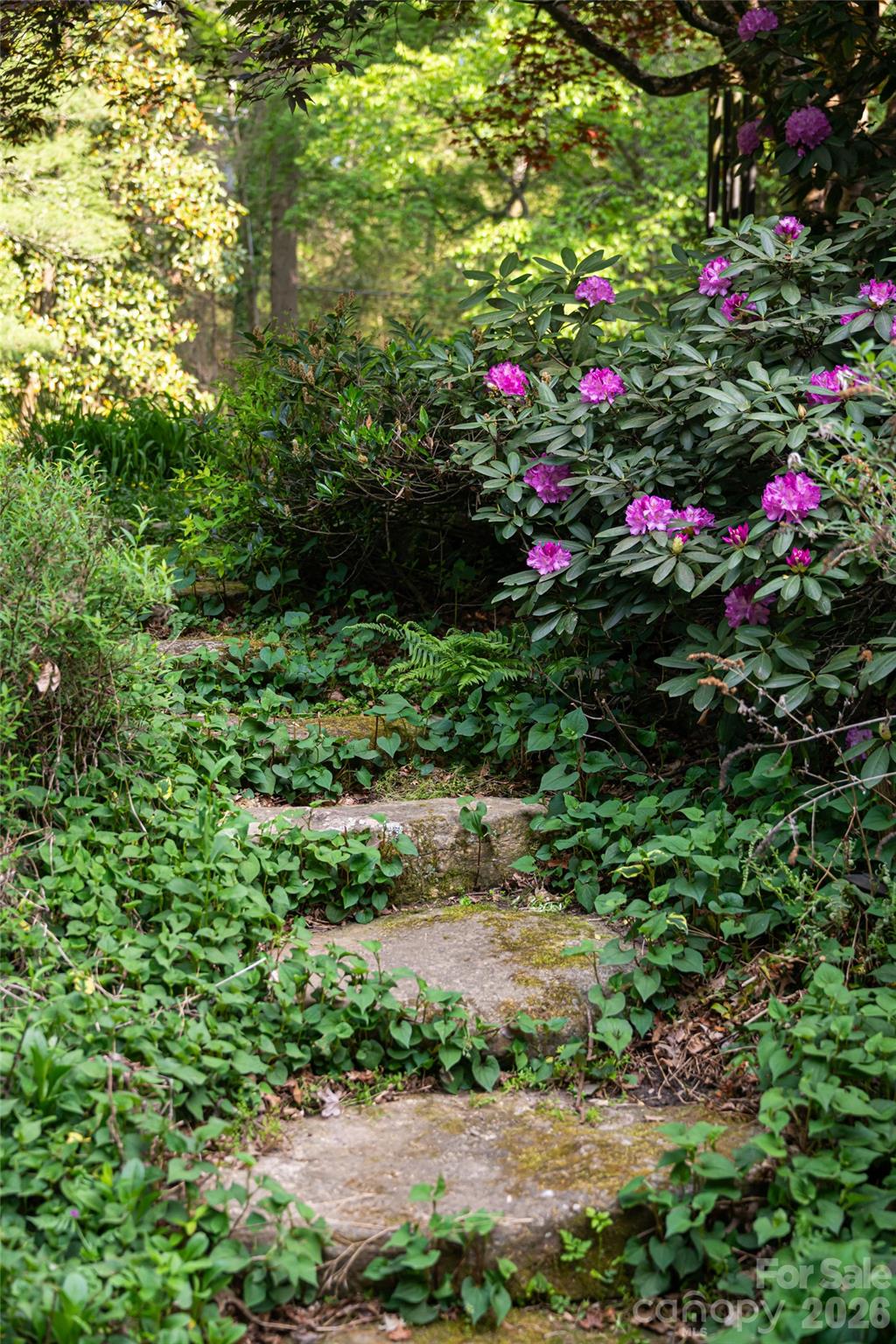 18 Forest Road Asheville, NC 28803 - Photo 8 of 47 Gallery Image 8