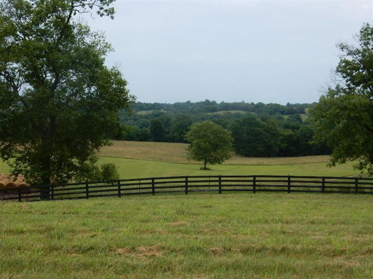 1084 Hifner Road Versailles, KY 40383 - Photo 8 of 22 Photo 8