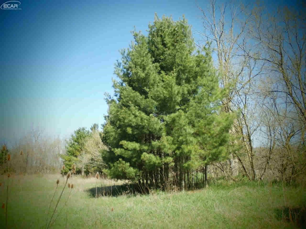 11278 Cook Road Gaines, MI 48436 - Photo 12 of 38