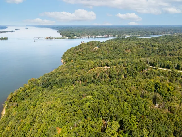 a view of a sky from a yard