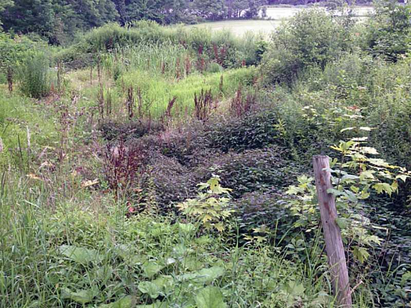 636 Pike Run Road Somerset, PA 15501 - Photo 6 of 10 Land. Former pond location in southwest corner