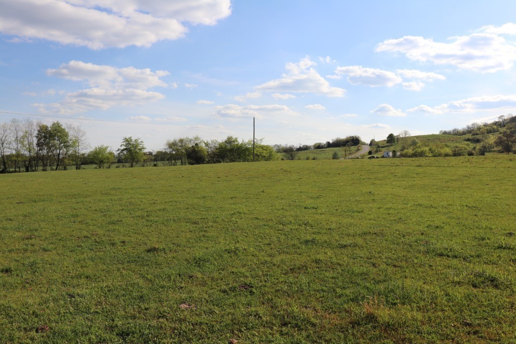 3 Templow Road Bethpage, TN 37022 - Photo 4 of 6 a view of an ocean from a yard