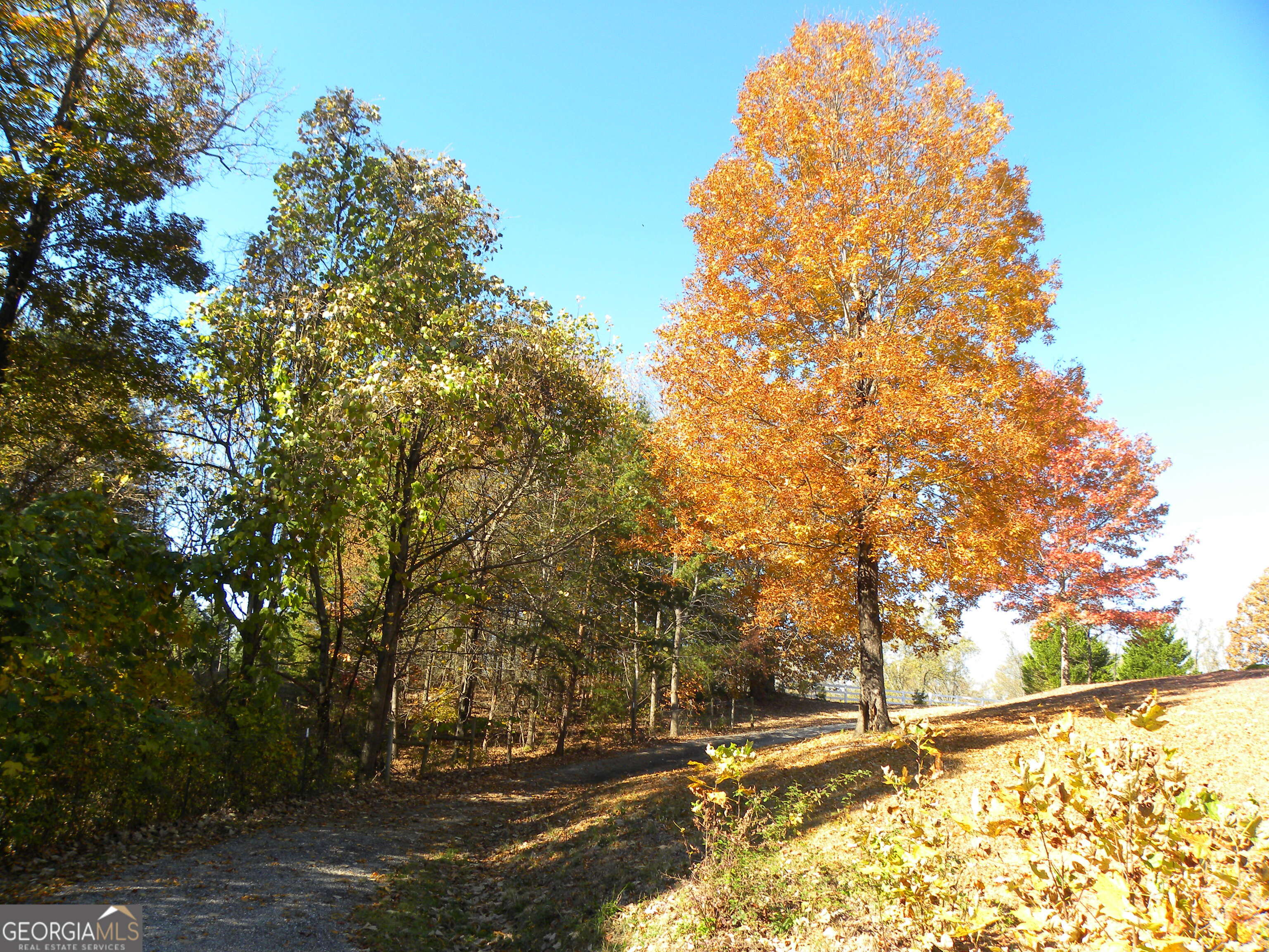 2484 Apple Pie Ridge Road, Unit 11 Alto, GA 30510 - Photo 92 of 95