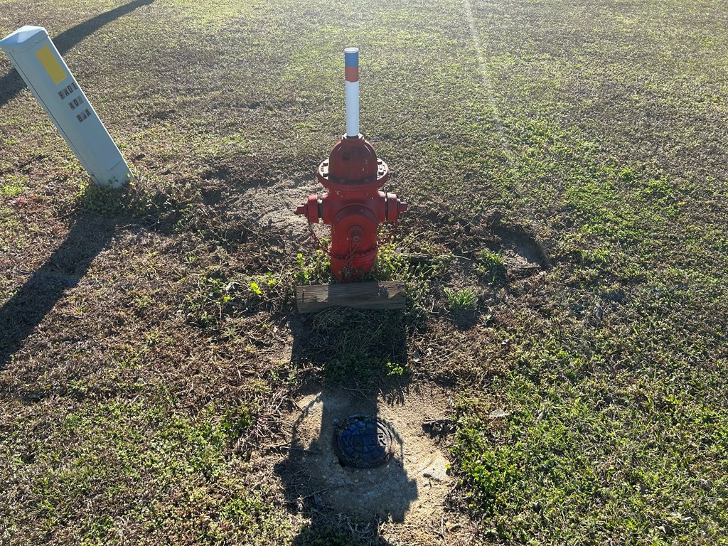 11034-11134 Cty Road Slocomb, AL 36375 - Photo 23 of 80