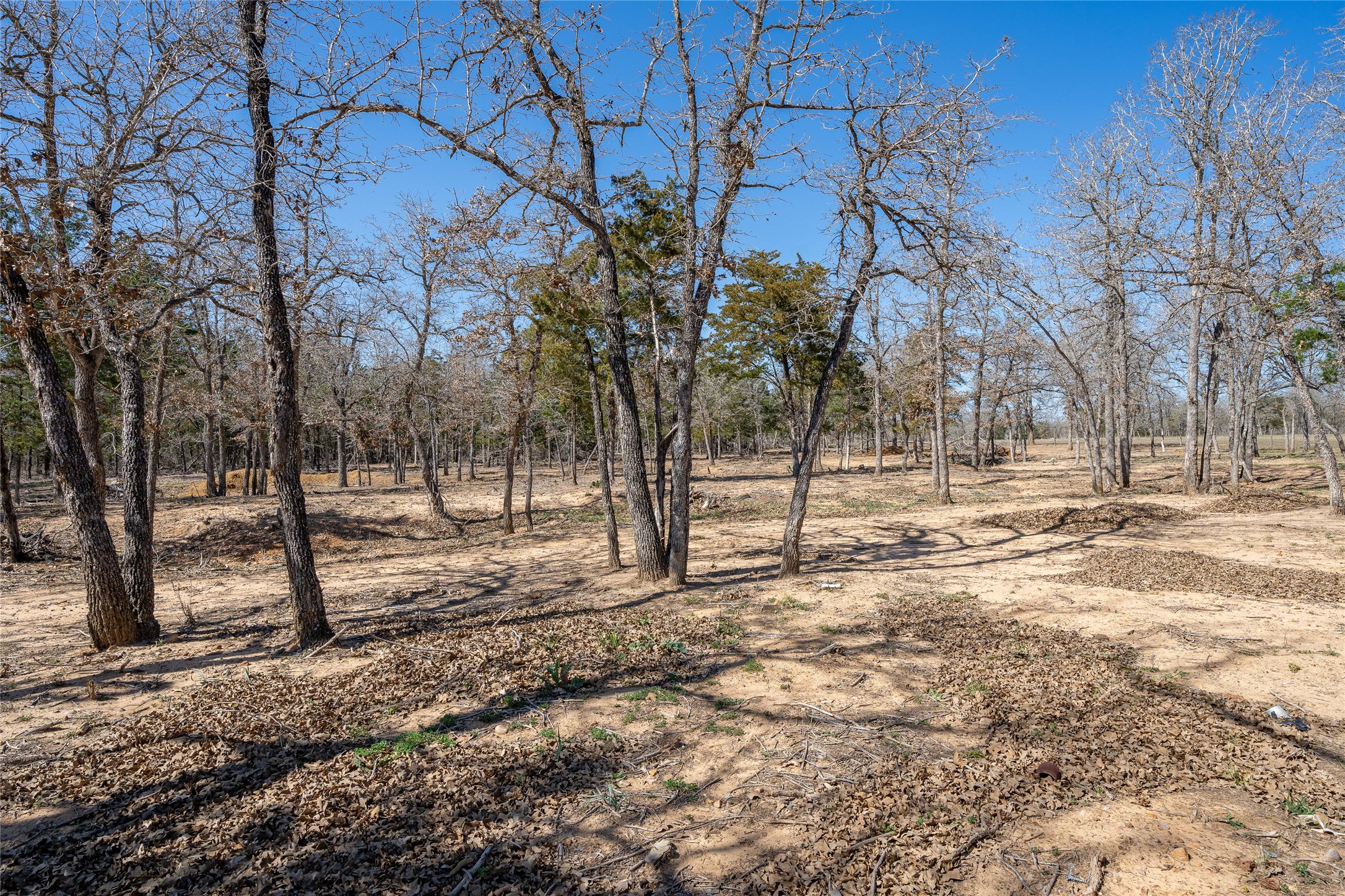 661 Hidden Oak Road Dale, TX 78616 - Photo 2 of 36 a view of empty space with large trees