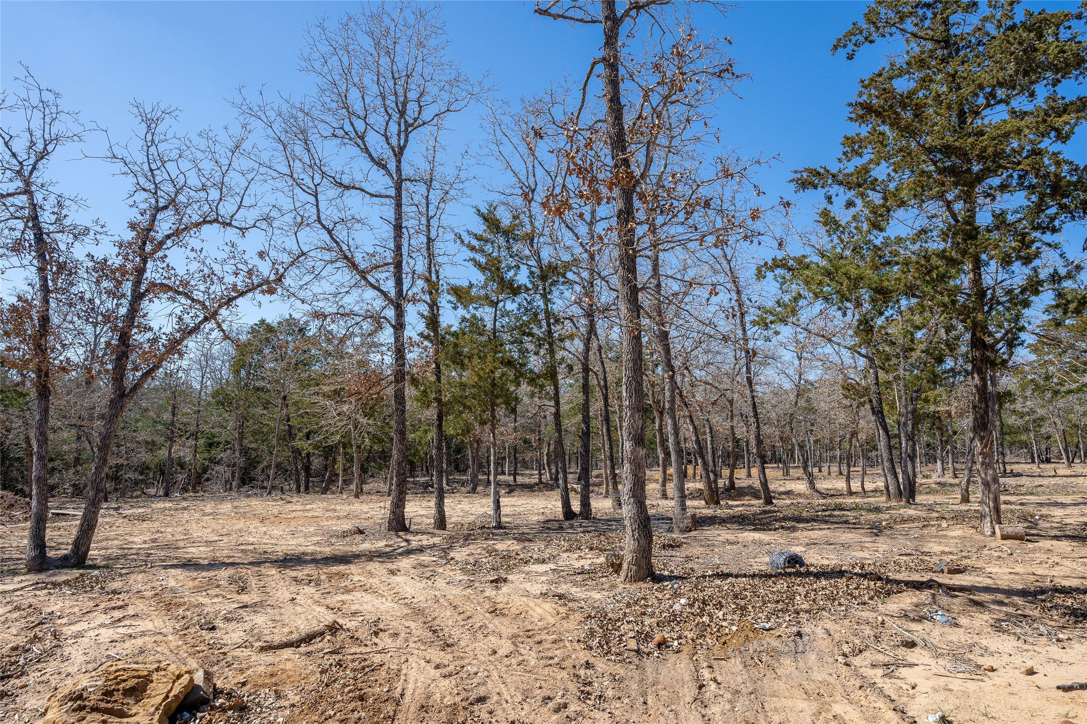 661 Hidden Oak Road Dale, TX 78616 - Photo 30 of 36 a view of a yard with trees