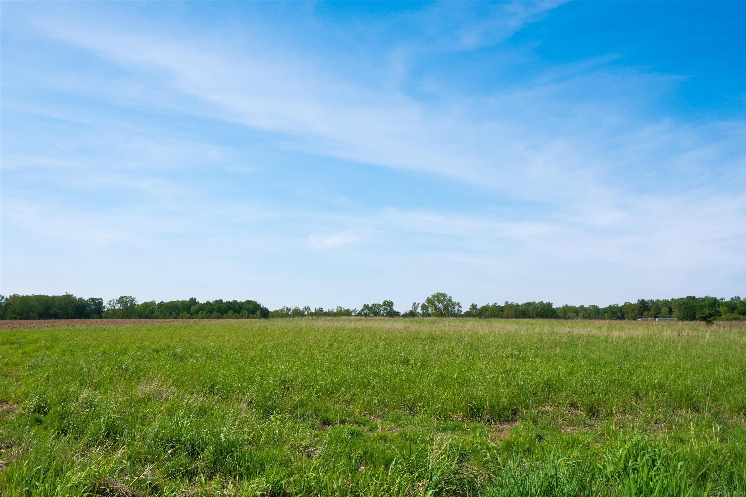 13352 Norman Road Yale, MI 48097 - Photo 46 of 50