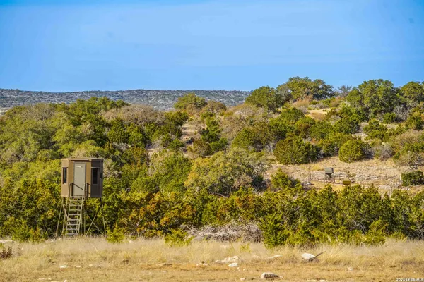a view of a yard with a house