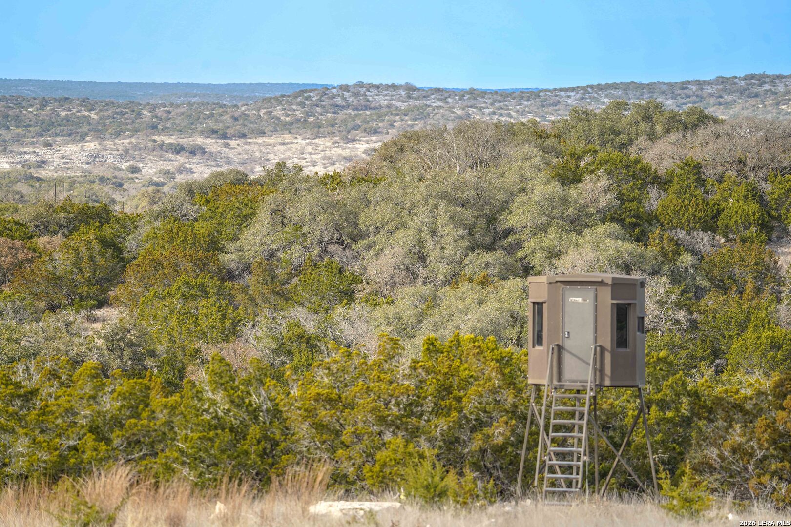 15019 County Road 310 Rocksprings, TX 78880 - Photo 42 of 90