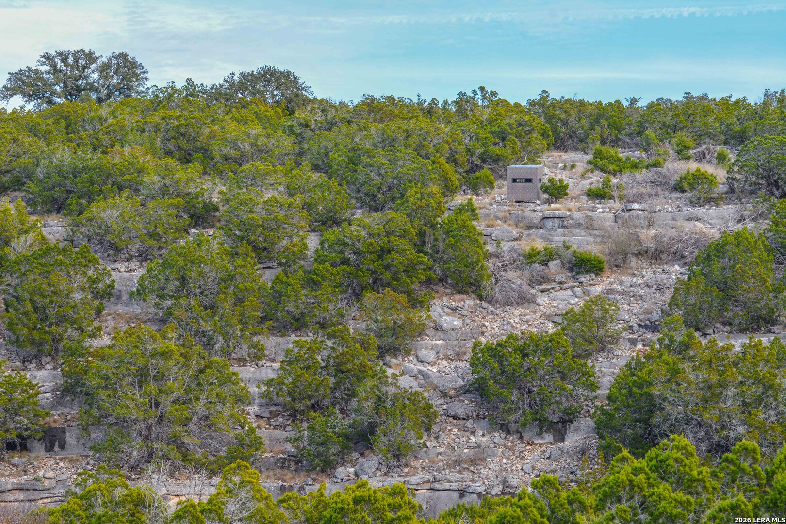 15019 County Road 310 Rocksprings, TX 78880 - Photo 45 of 90 a view of a forest with a houses