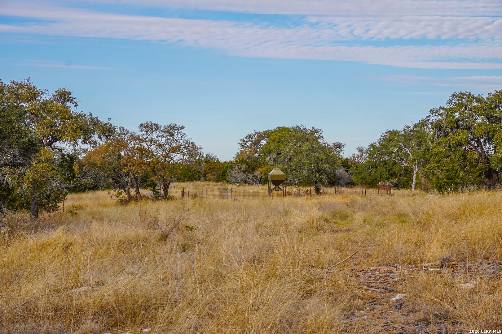 15019 County Road 310 Rocksprings, TX 78880 - Photo 48 of 90