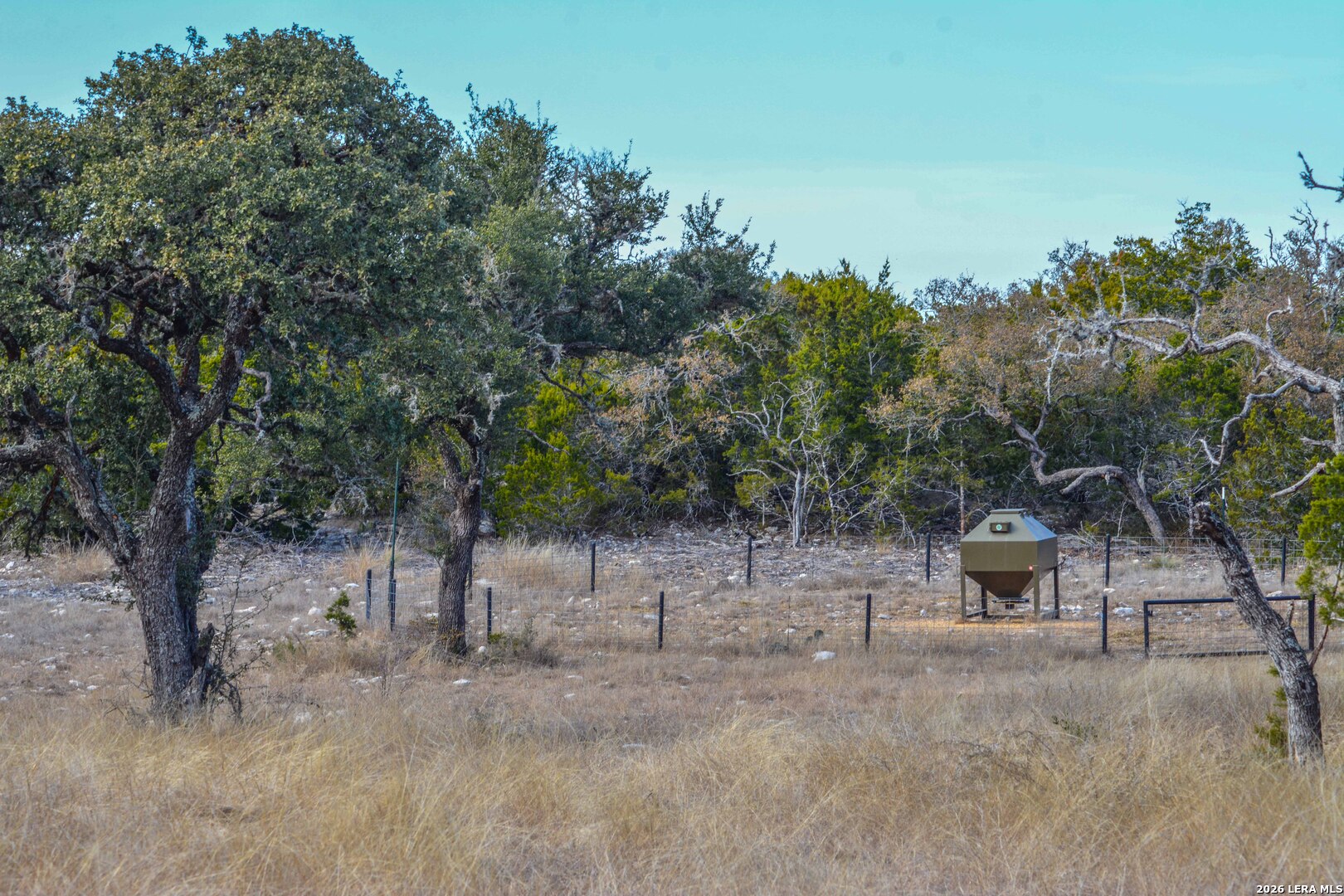 15019 County Road 310 Rocksprings, TX 78880 - Photo 52 of 90 a view of a back yard