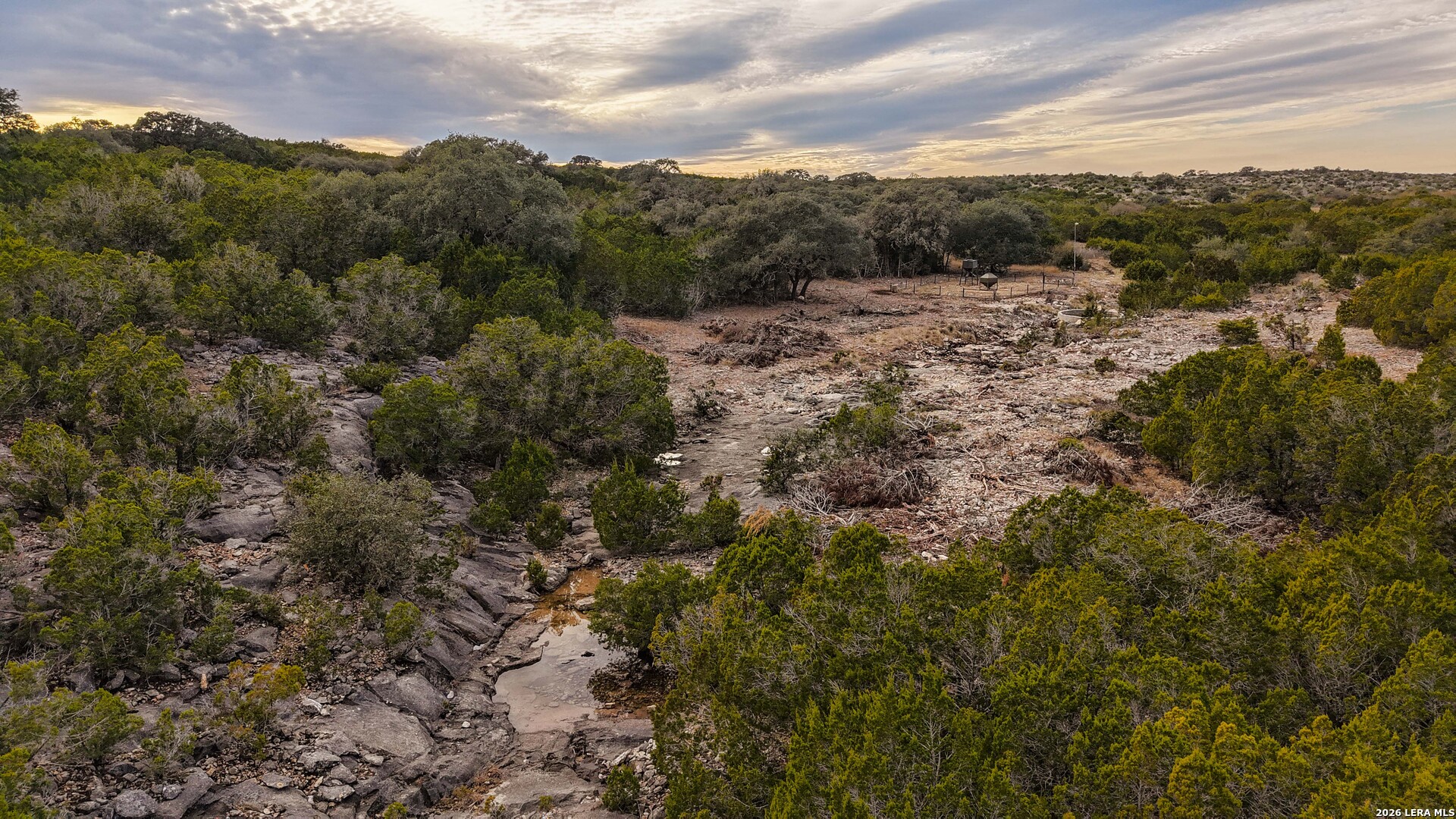 15019 County Road 310 Rocksprings, TX 78880 - Photo 55 of 90 a view of a forest with lush green forest