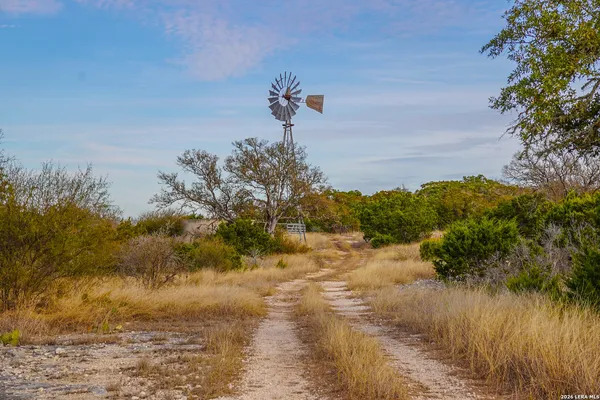a view of a yard with an outdoor space