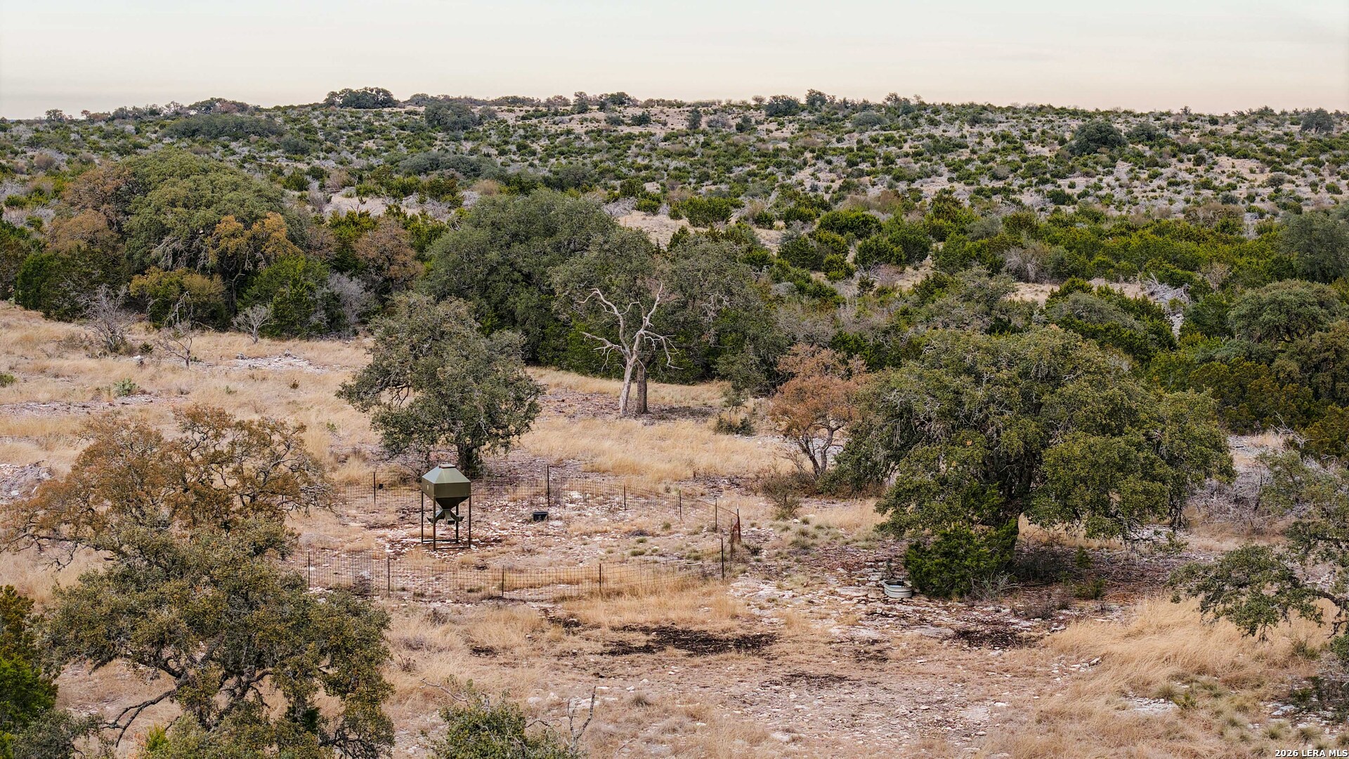 15019 County Road 310 Rocksprings, TX 78880 - Photo 63 of 90 a view of a yard with a tree