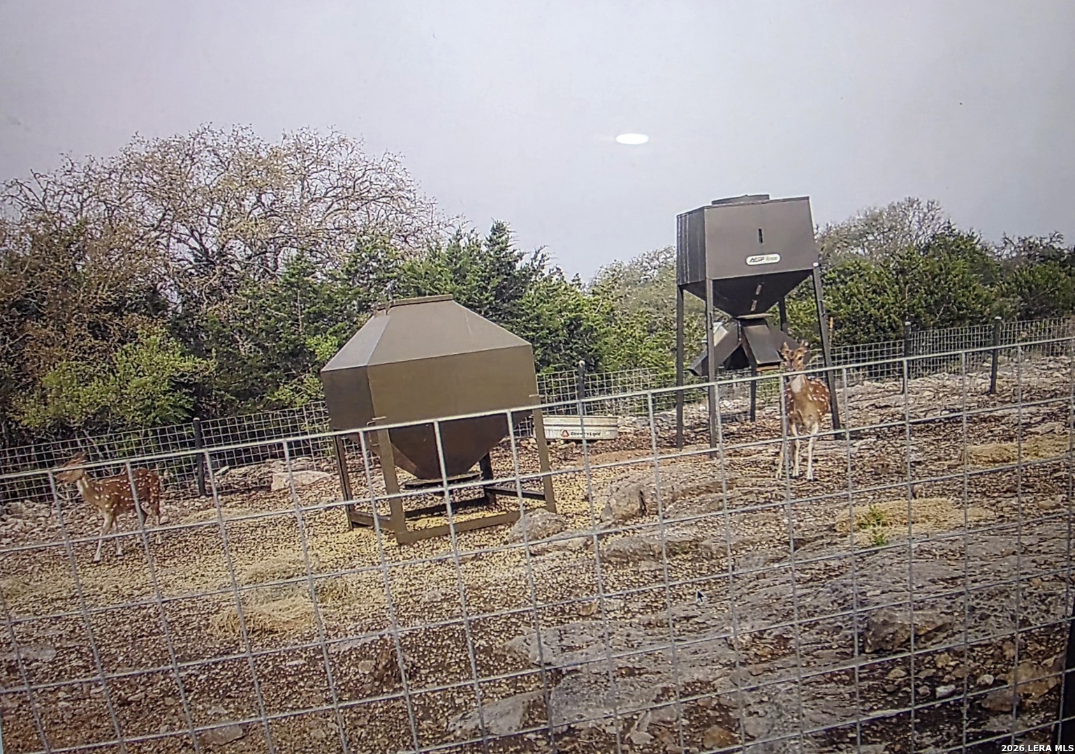 15019 County Road 310 Rocksprings, TX 78880 - Photo 67 of 90 a backyard of a house with table and chairs