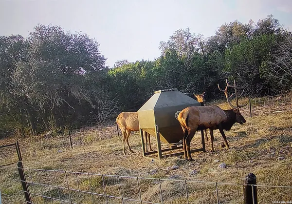 $2,450,000 | 15019 County Road 310, Rocksprings, TX 78880