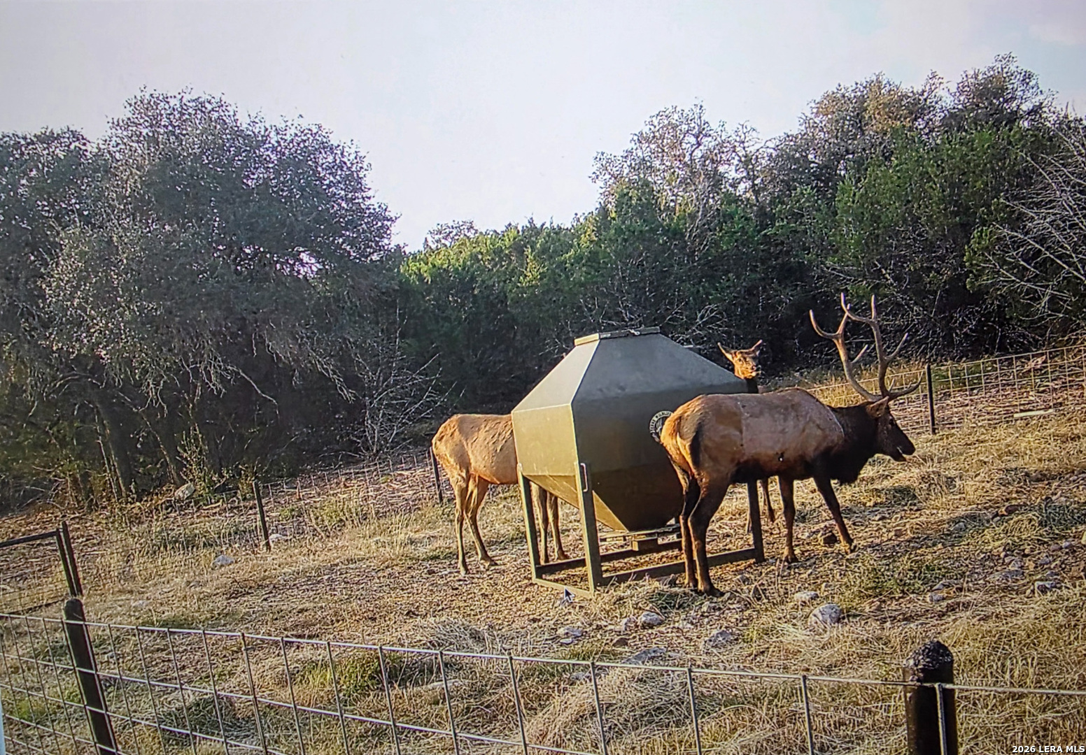 15019 County Road 310 Rocksprings, TX 78880 - Photo 70 of 90 a backyard of a house with table and chairs