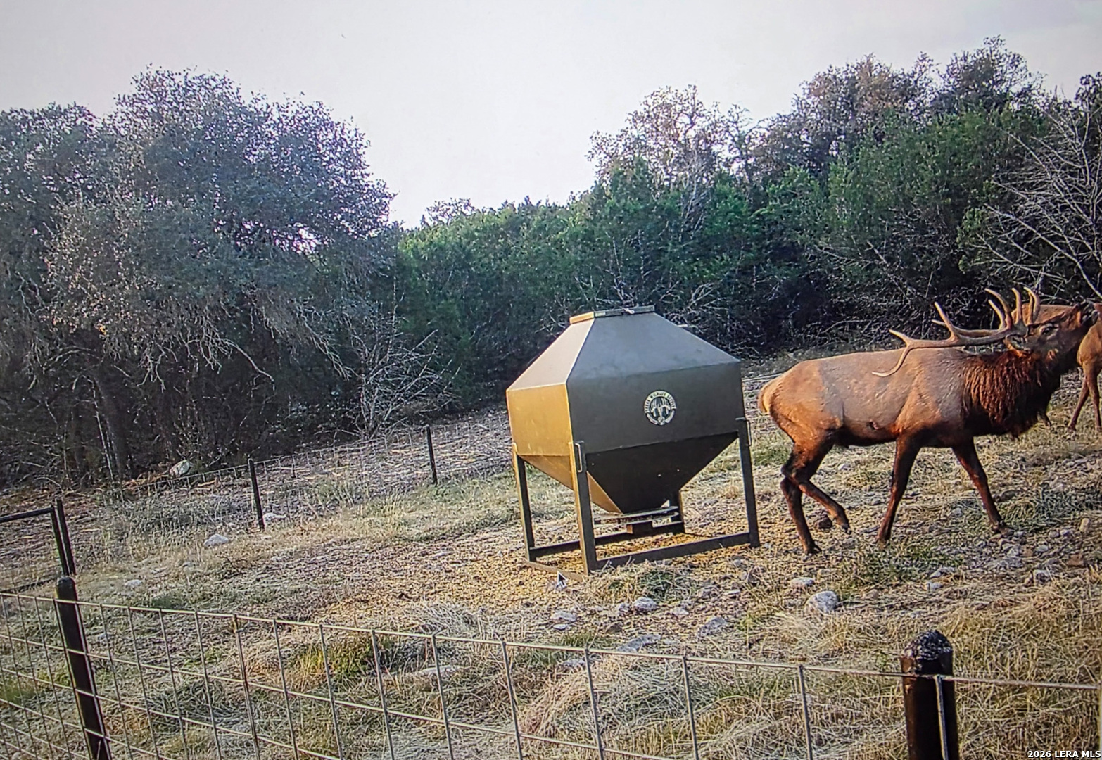 15019 County Road 310 Rocksprings, TX 78880 - Photo 71 of 90 a view of a yard with furniture