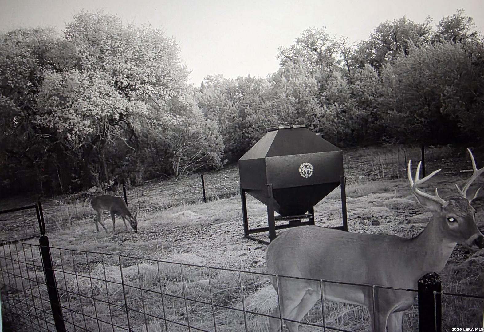 15019 County Road 310 Rocksprings, TX 78880 - Photo 72 of 90 a view of a chairs and table in the patio