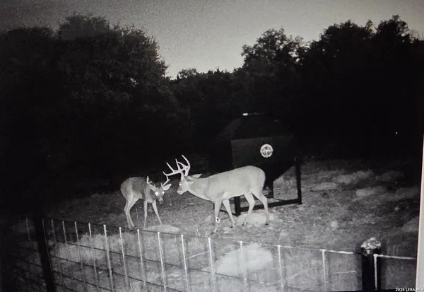 $2,450,000 | 15019 County Road 310, Rocksprings, TX 78880