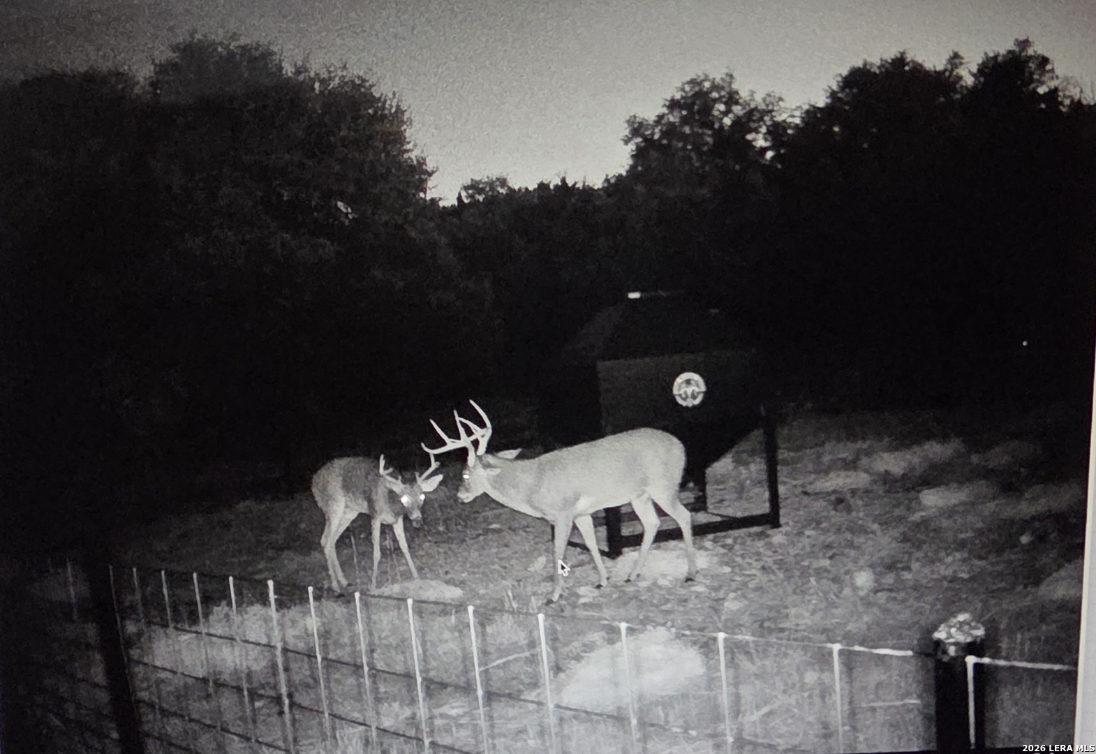 15019 County Road 310 Rocksprings, TX 78880 - Photo 73 of 90 a view of a balcony with chairs potted plants