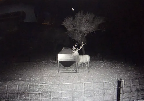 $2,450,000 | 15019 County Road 310, Rocksprings, TX 78880