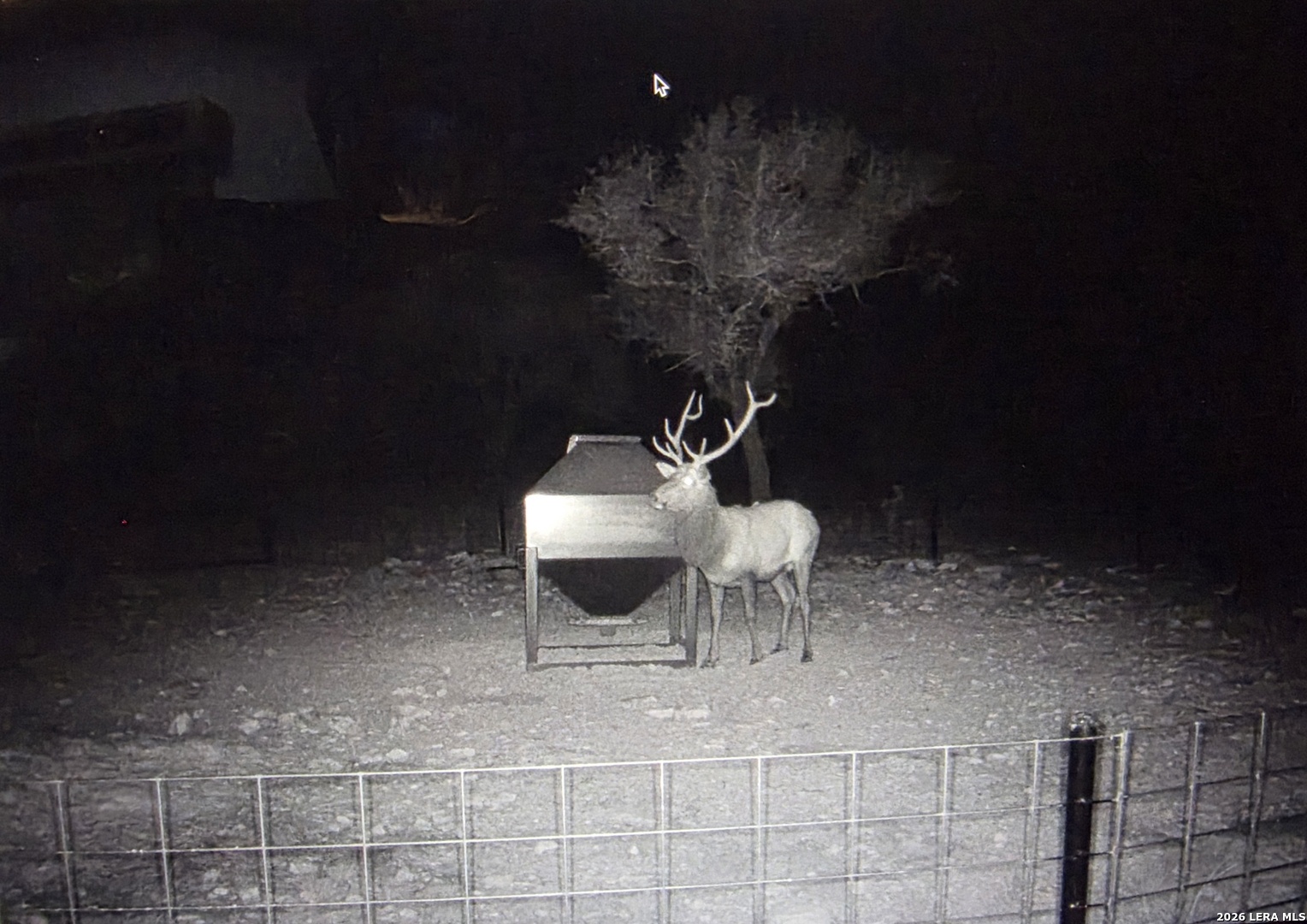 15019 County Road 310 Rocksprings, TX 78880 - Photo 74 of 90