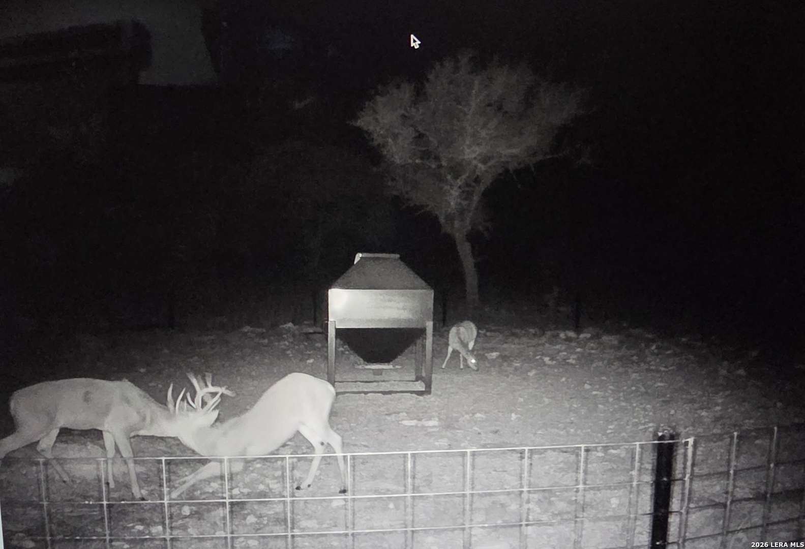 15019 County Road 310 Rocksprings, TX 78880 - Photo 75 of 90