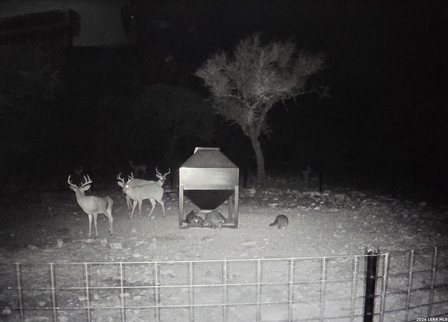 15019 County Road 310 Rocksprings, TX 78880 - Photo 76 of 90