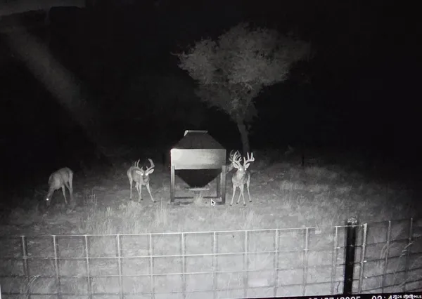 $2,450,000 | 15019 County Road 310, Rocksprings, TX 78880