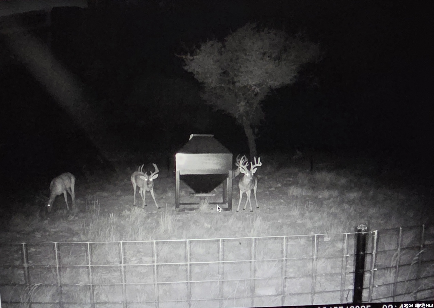 15019 County Road 310 Rocksprings, TX 78880 - Photo 77 of 90