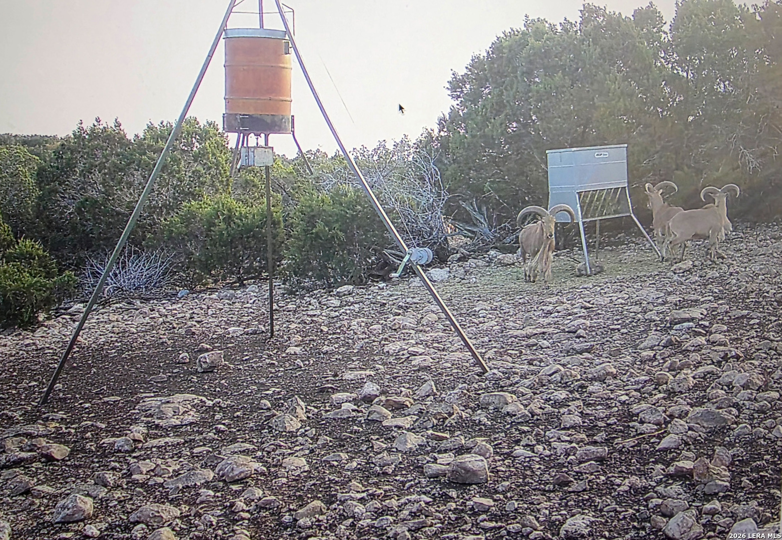 15019 County Road 310 Rocksprings, TX 78880 - Photo 78 of 90 a aerial view of a house with a yard and sitting space