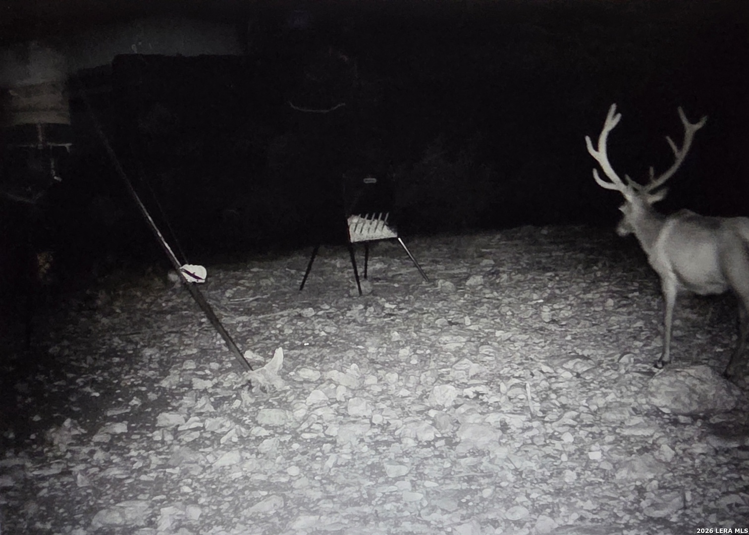 15019 County Road 310 Rocksprings, TX 78880 - Photo 80 of 90