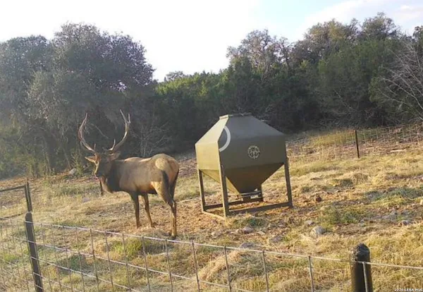 $2,450,000 | 15019 County Road 310, Rocksprings, TX 78880