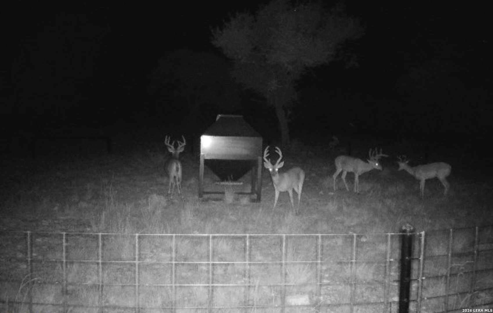 15019 County Road 310 Rocksprings, TX 78880 - Photo 82 of 90