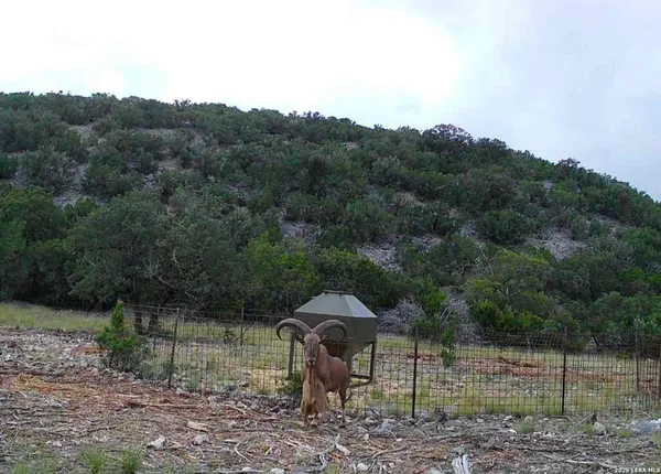 $2,450,000 | 15019 County Road 310, Rocksprings, TX 78880