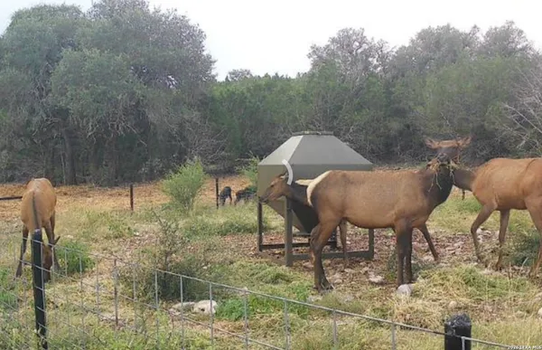 $2,450,000 | 15019 County Road 310, Rocksprings, TX 78880