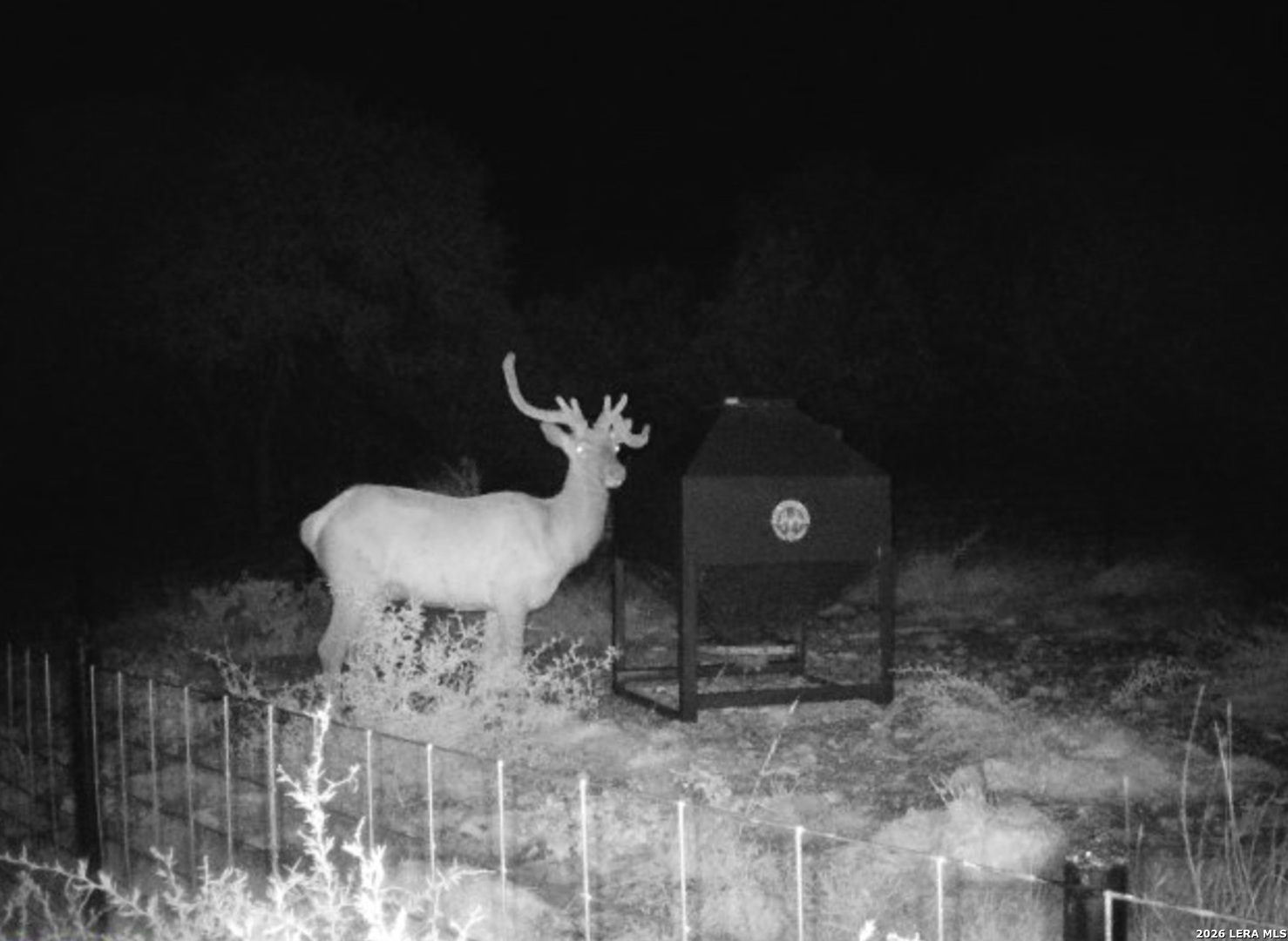 15019 County Road 310 Rocksprings, TX 78880 - Photo 85 of 90