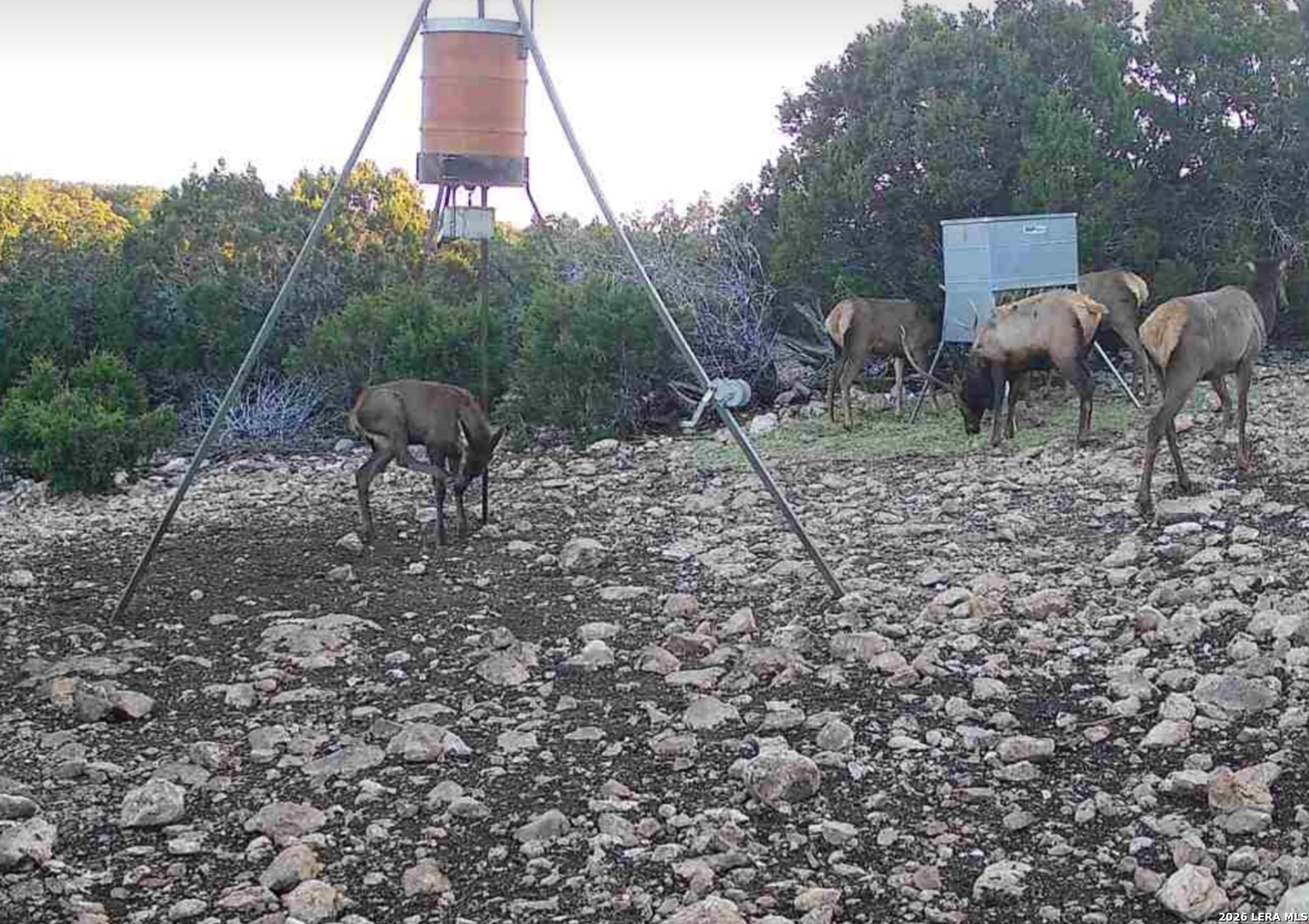 15019 County Road 310 Rocksprings, TX 78880 - Photo 86 of 90 a backyard of a house with table and chairs