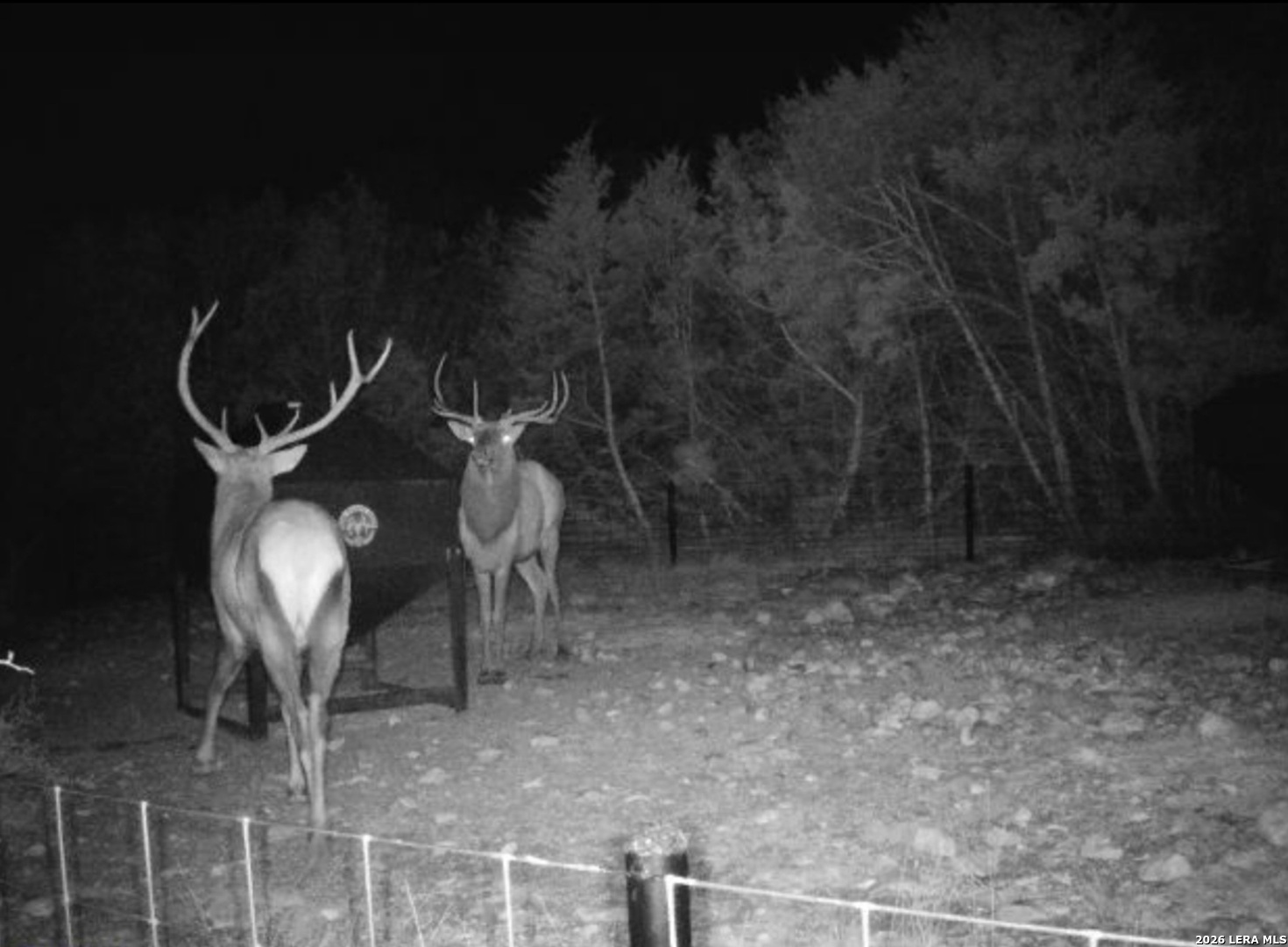 15019 County Road 310 Rocksprings, TX 78880 - Photo 87 of 90